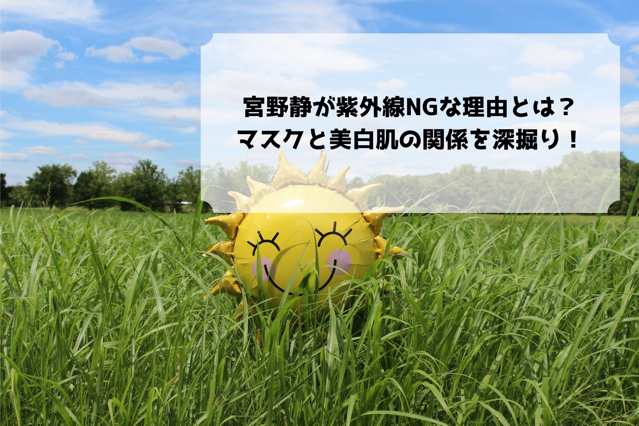 宮野静マスク